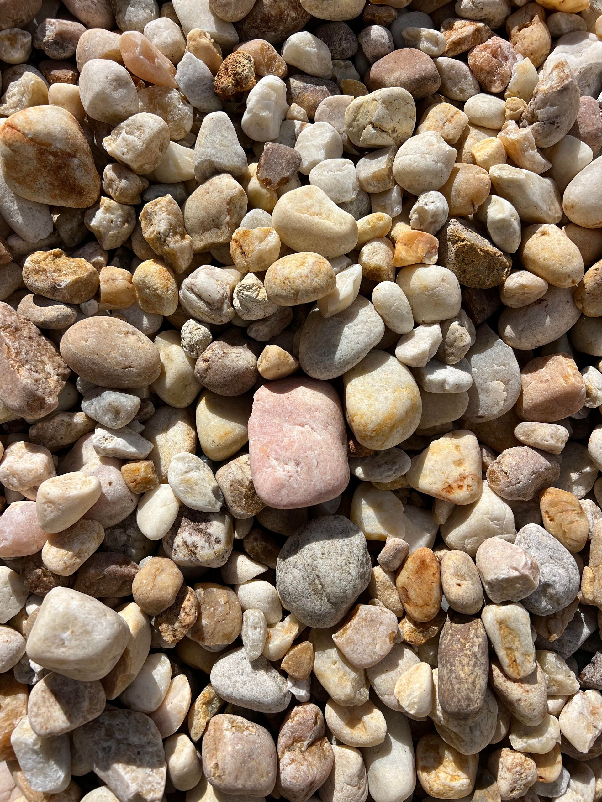 A pile of rocks with a pink rock in the middle.