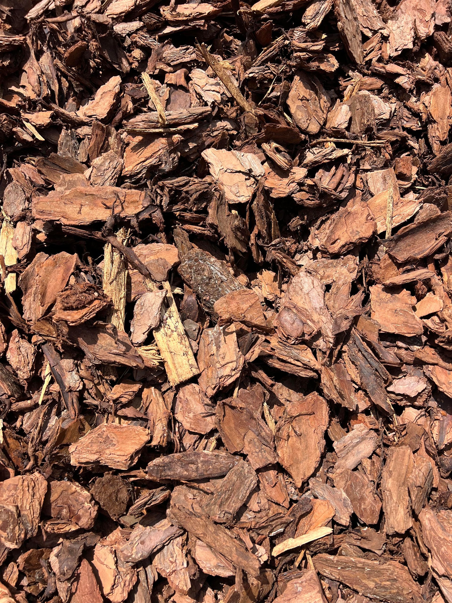 A pile of wood chips is sitting on the ground.