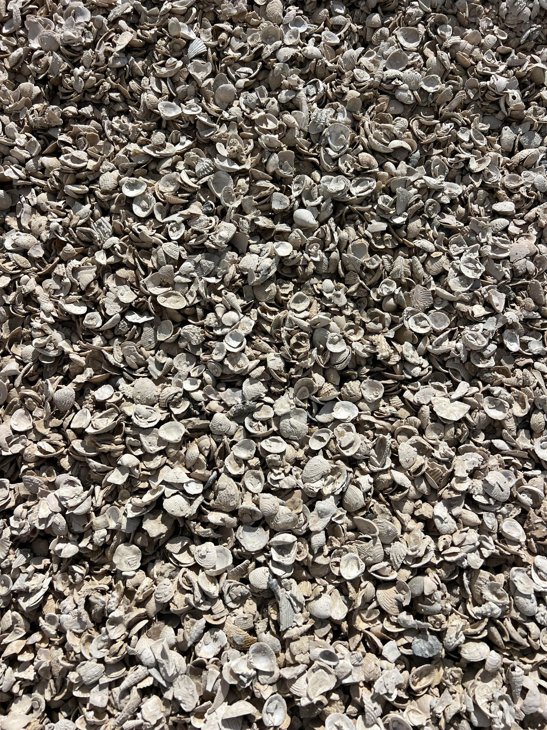 A pile of gravel is sitting on the ground.