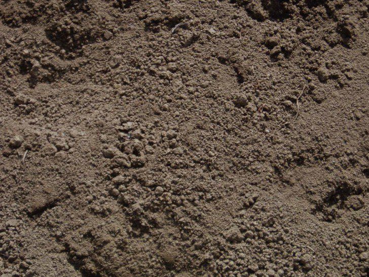 A close up of a pile of dirt with tire tracks on it.