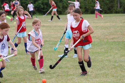 Children playing field hockey on a grassy field, chasing an orange ball with sticks.