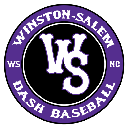 Winston-Salem Dash Baseball logo with purple ring and black center, white WS monogram.
