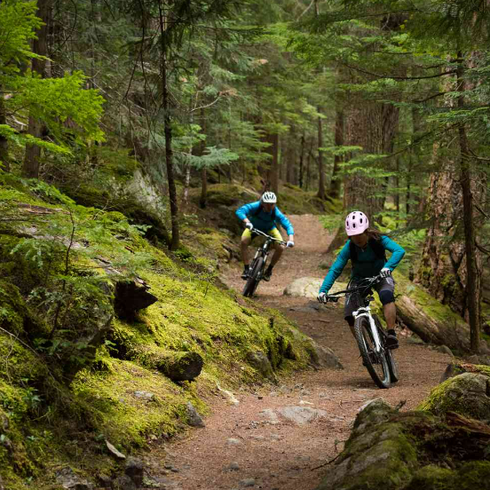 Two mountain bikers in blue gear ride along a muddy forest trail among mossy trees.