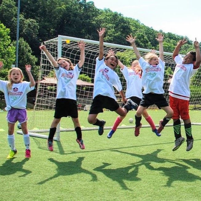 Children in white shirts jump and cheer on a soccer field in front of a goal.