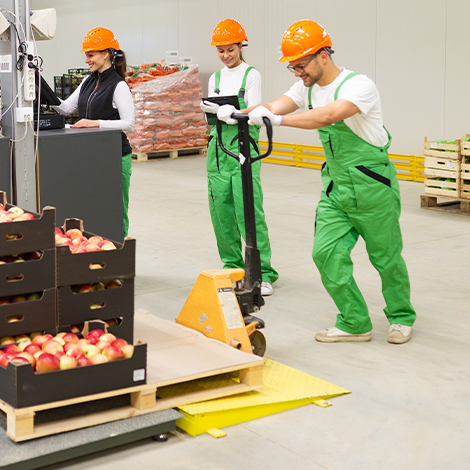 Grado Alimenticio