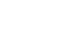 Blank white rectangle with a thin gray border on the left and bottom edges