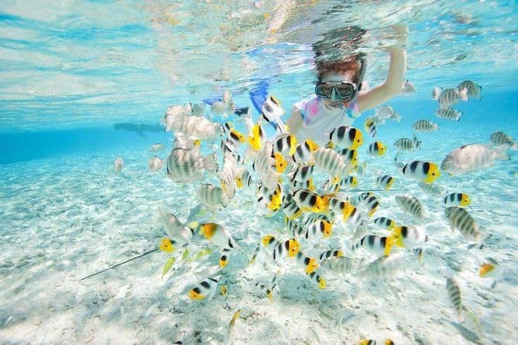 A woman is swimming in the ocean surrounded by fish.