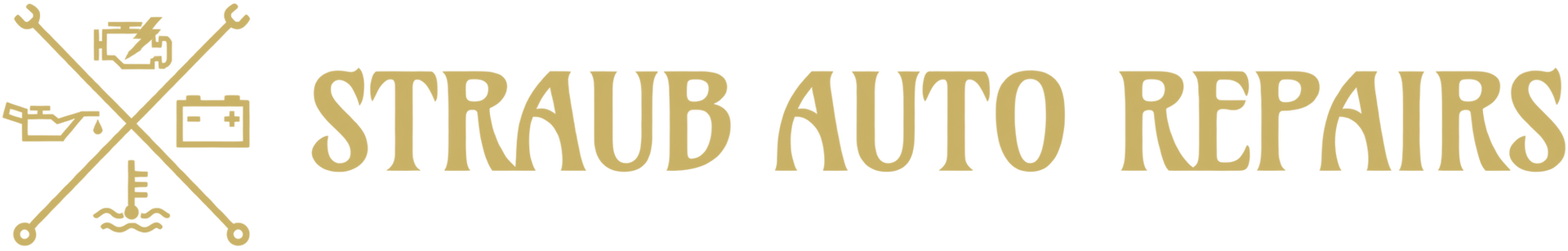 Company Logo | Straub Repair Center