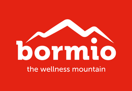 Logo di Bormio con grafica di montagna bianca e slogan