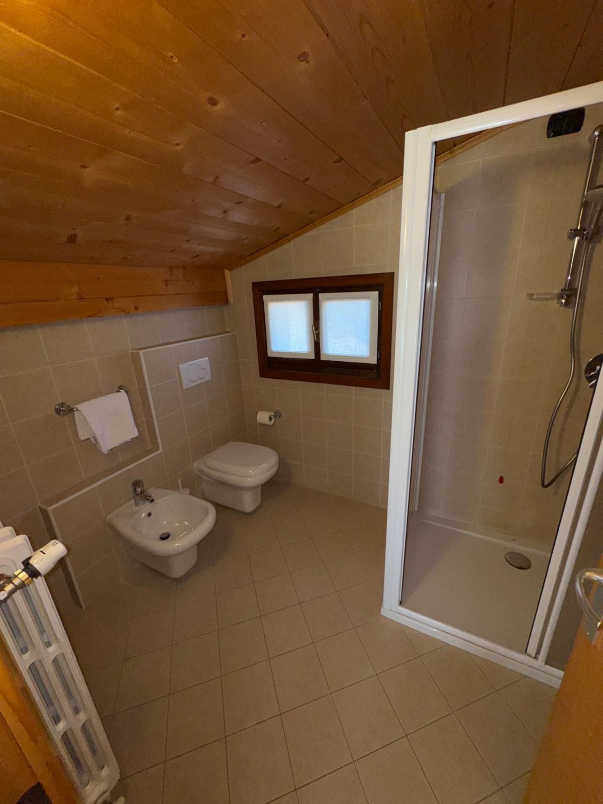 Piccolo bagno mansardato con WC, bidet, doccia, pavimento piastrellato e soffitto in legno inclinato.