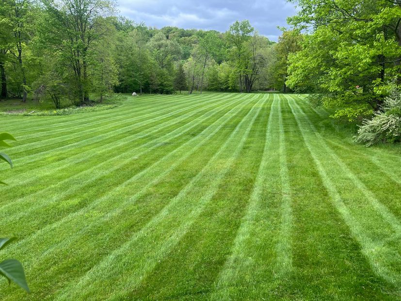 Freshly mowed green lawn with striped rows beside a wooded tree line under a cloudy sky