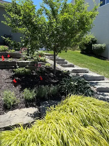 Landscaped front yard with a young tree, stone steps, shrubs, and a green lawn