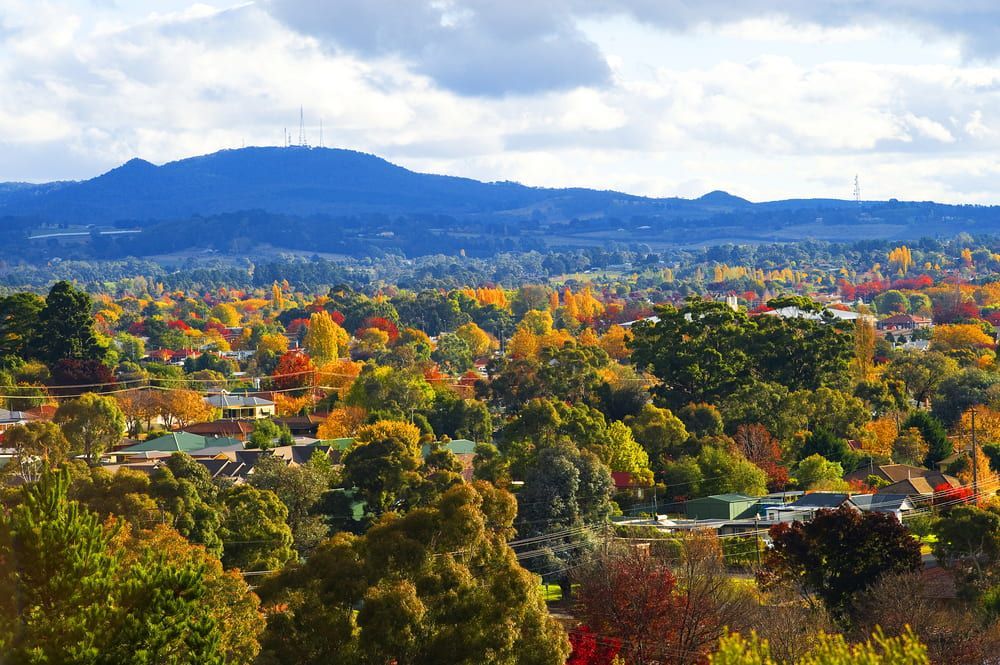 Scenic View from the Hilltop — Bustin' Free Earthworks in Orange, NSW