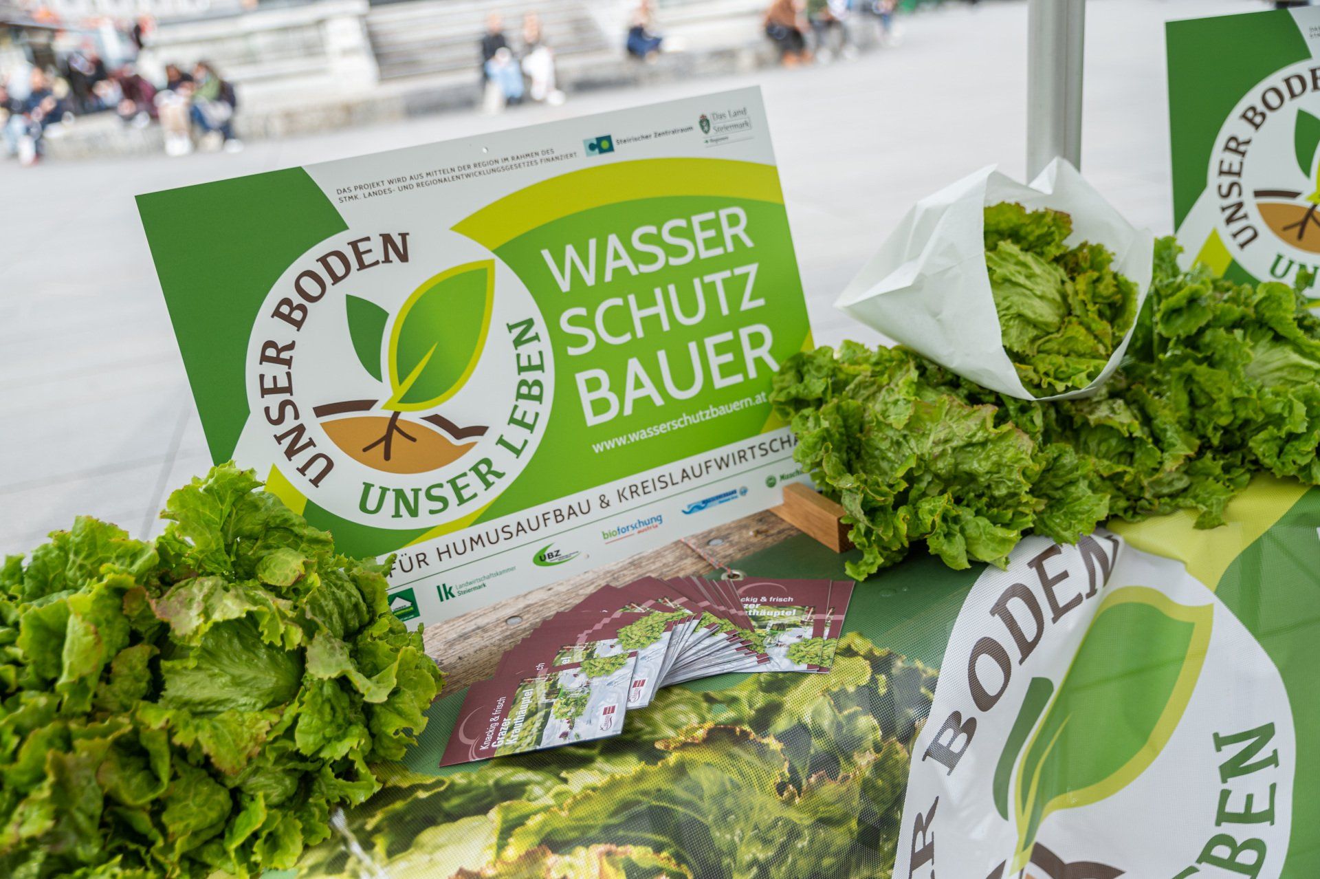 Die Wasserschutzbauern, Auszeichnung, Wasserschutz Salat