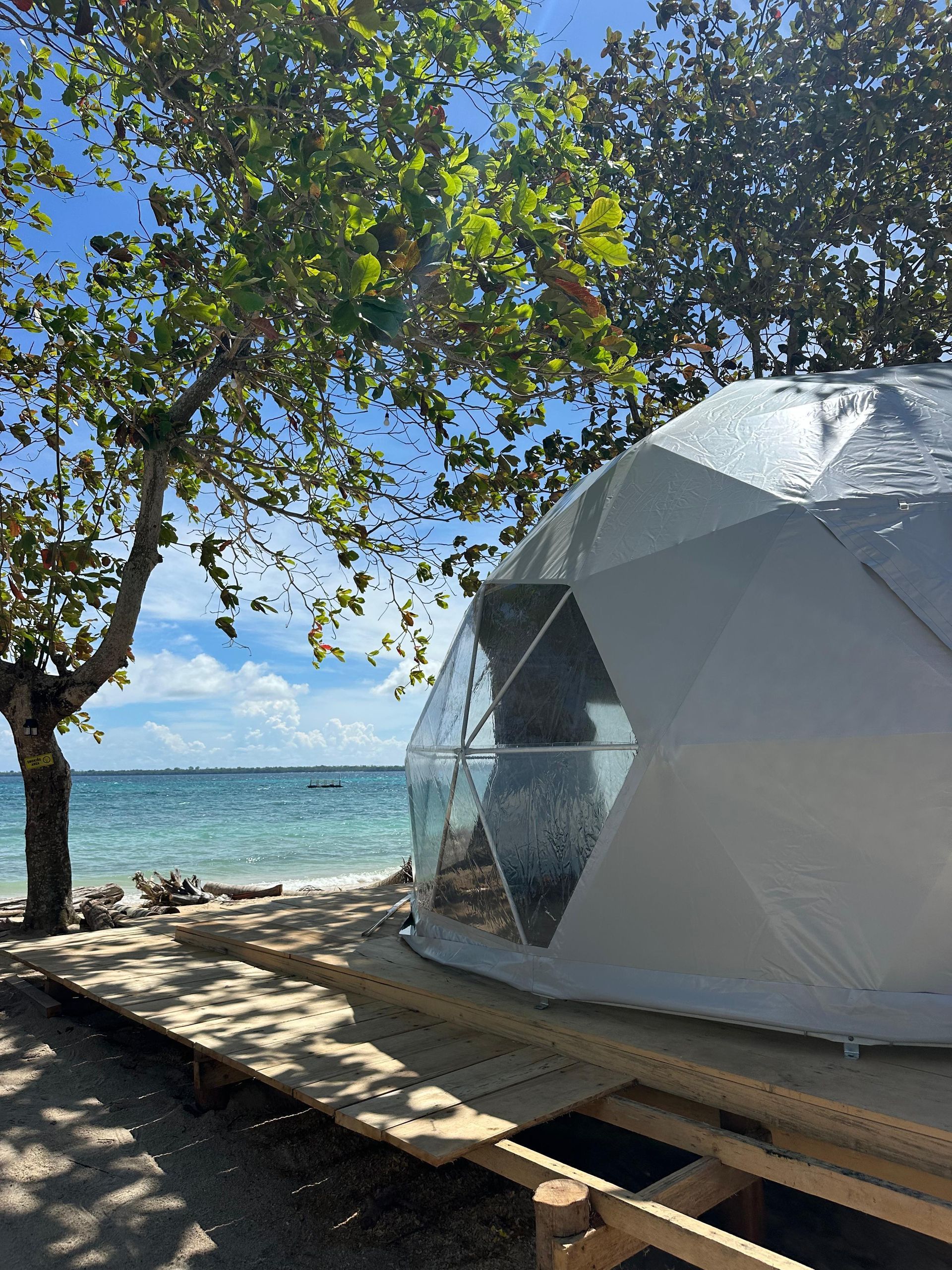 Geodesic dome on a beach under trees, with turquoise water and blue sky in the background