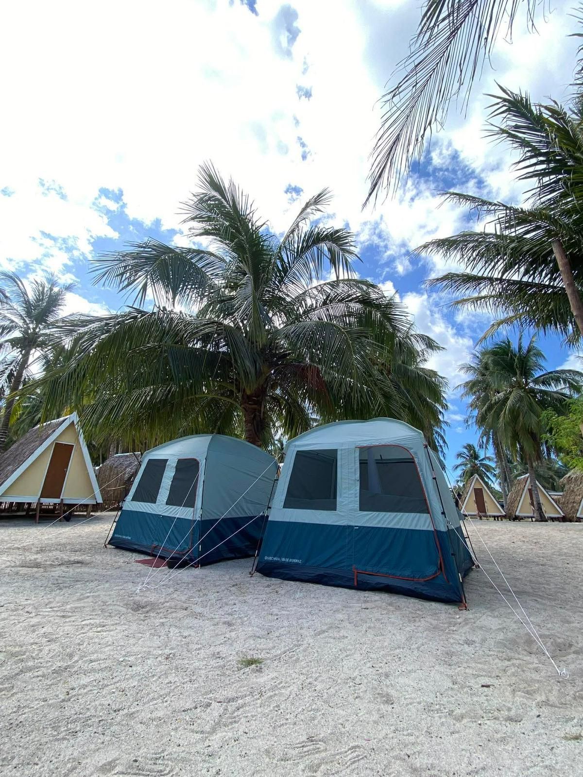 Blue tents on a sandy beach beneath palm trees and a partly cloudy sky.