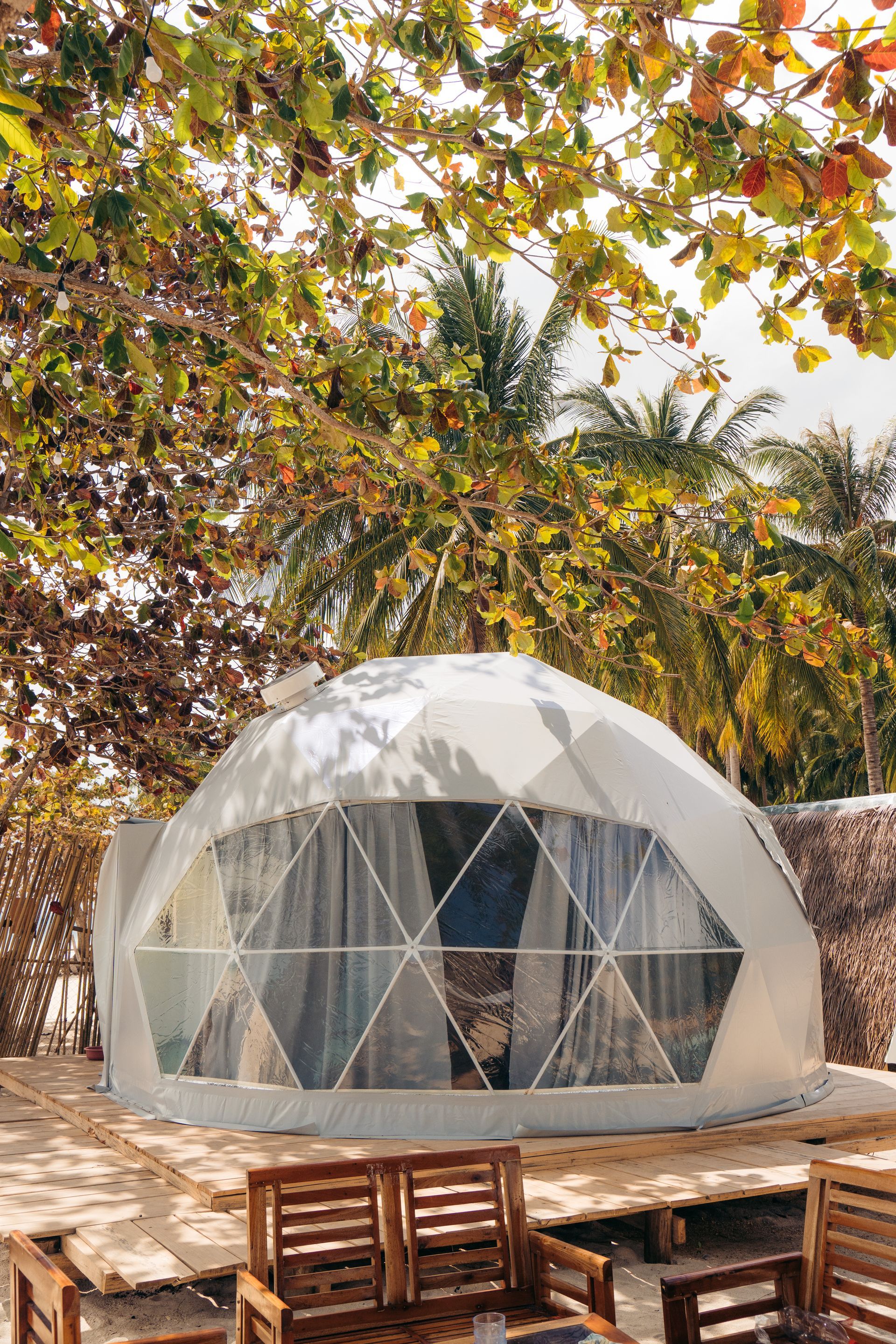 Geodesic dome glamping tent on a wooden deck under leafy trees