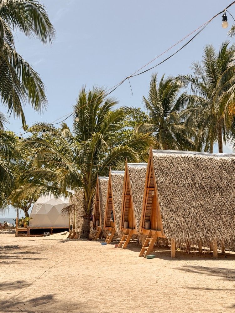 Beach huts with thatched roofs and palm trees on a sunny tropical shore