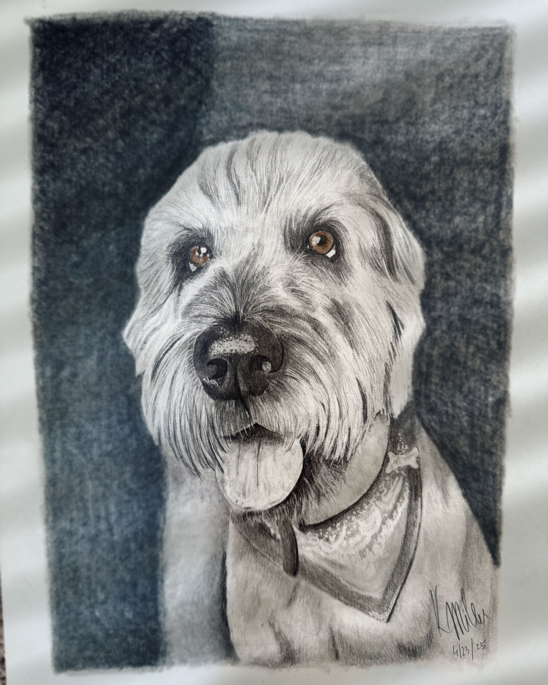 Portrait of a shaggy dog with a dark nose against a gray background