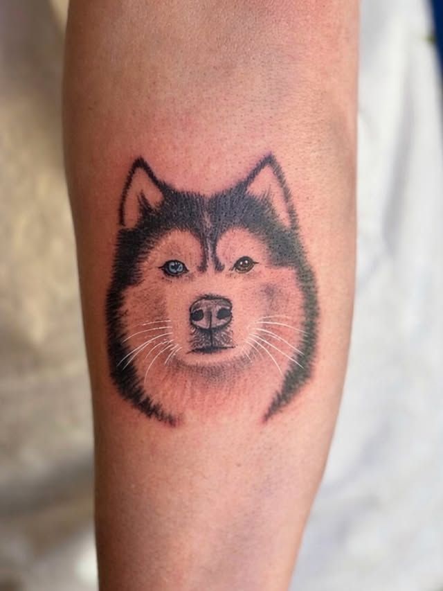 A forearm tattoo of a husky’s face with one blue eye and one brown eye, featuring black and tan fur markings.