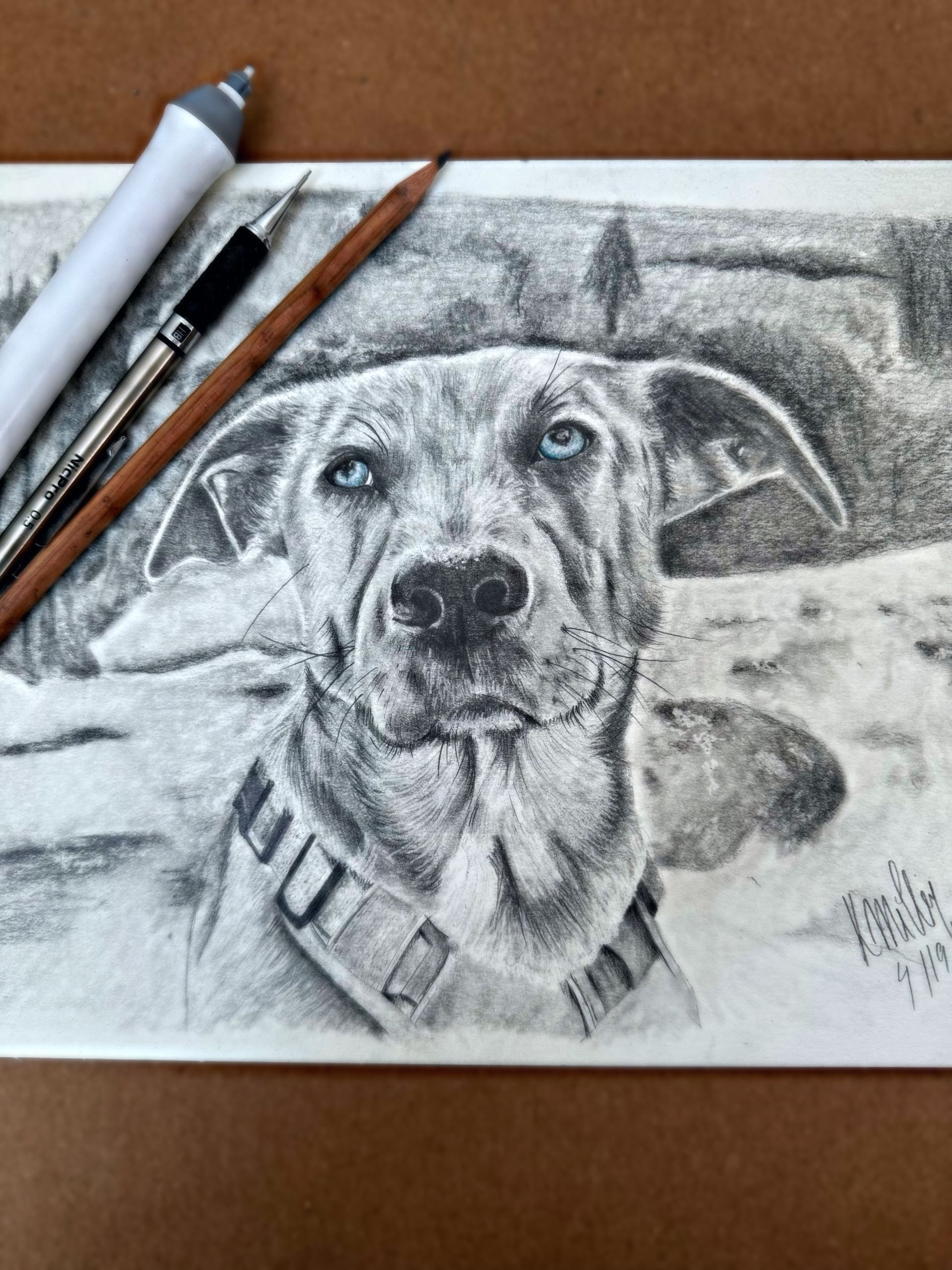 Pencil drawing of a dog’s face on paper, with pencils and a charcoal stick beside it.