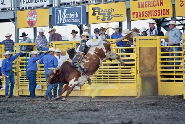 cowboy on a bull at the Benton Franklin Rodeo