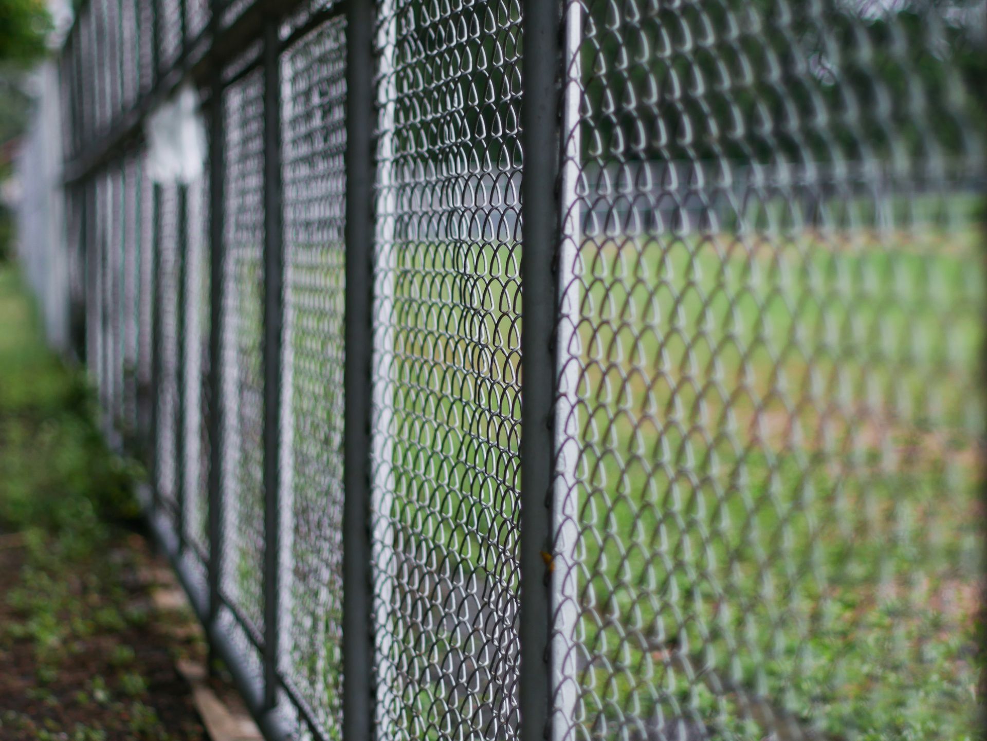 Chain-link fence along a grassy field, with a tree-lined path in the background.