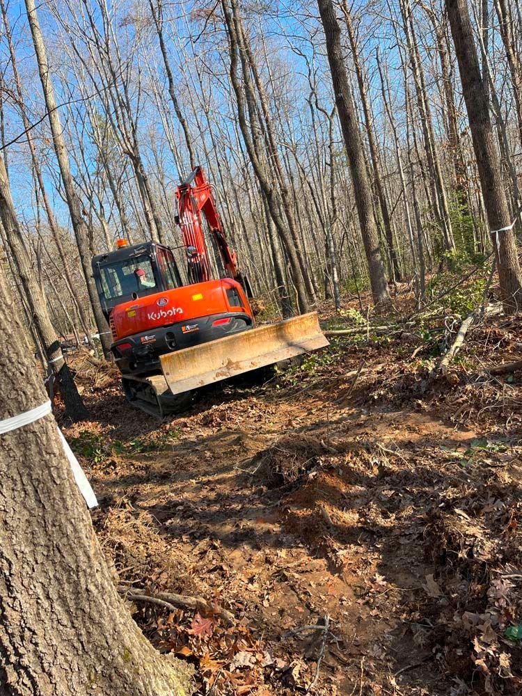 An orange Kubota excavator parked on a dirt path in a forest with tall trees.