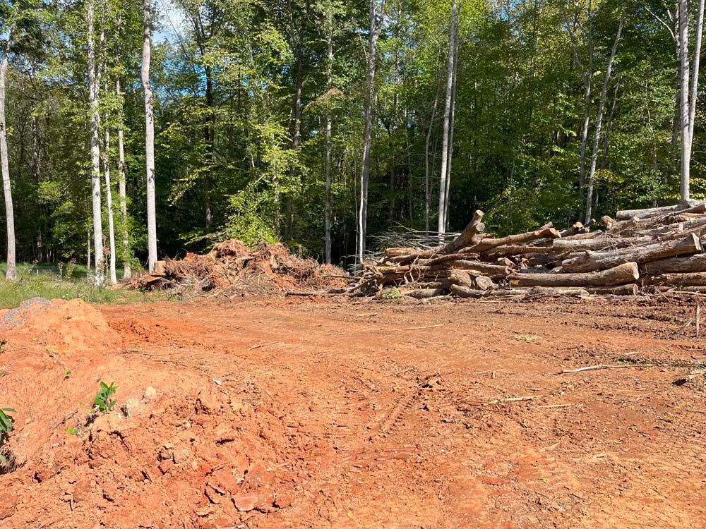A clearing with red clay soil, a pile of cut logs, and debris at the edge of a forest.