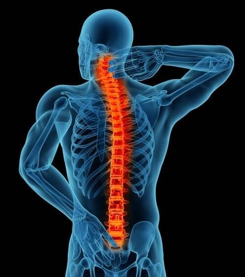 A skeleton of a man with a red spine.