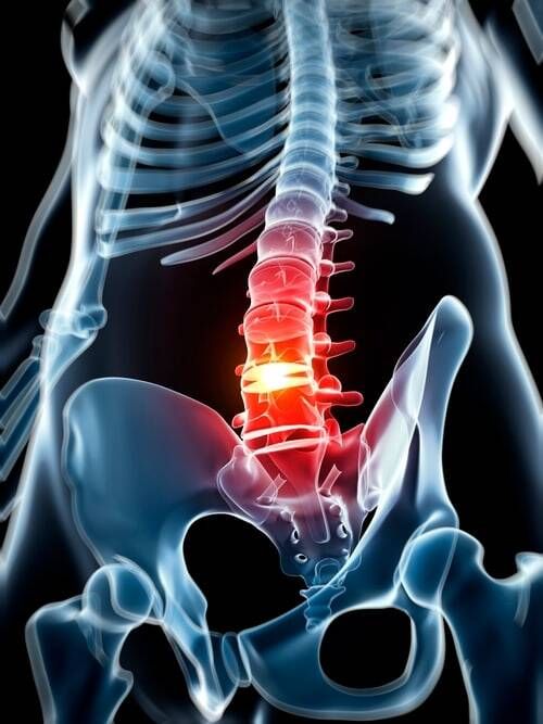 A computer generated image of a person's skeleton with a red spine.