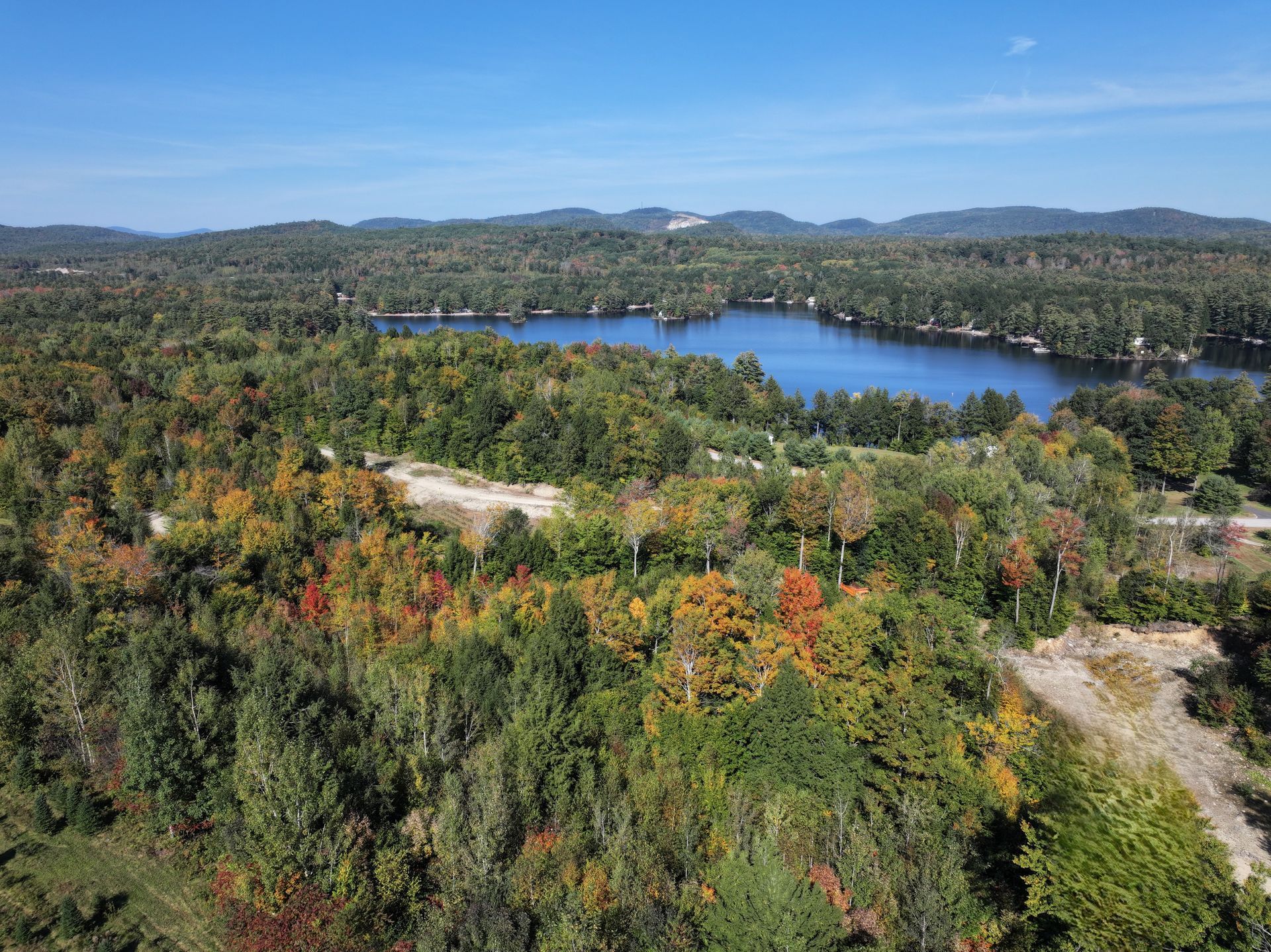 Wooded landscape with a blue lake and distant hills under a clear sky