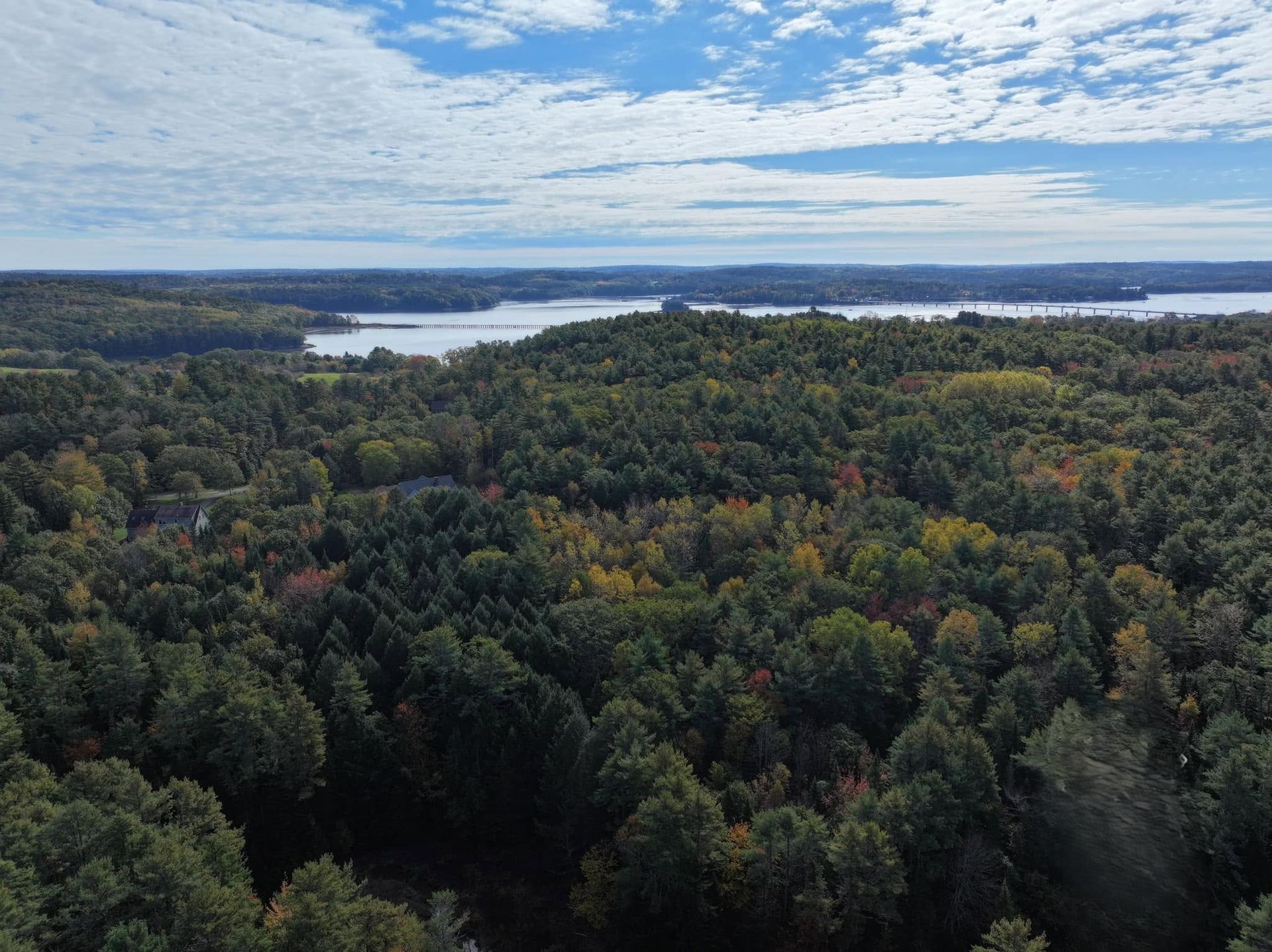 Aerial view of dense green forest with a distant lake under a cloudy blue sky