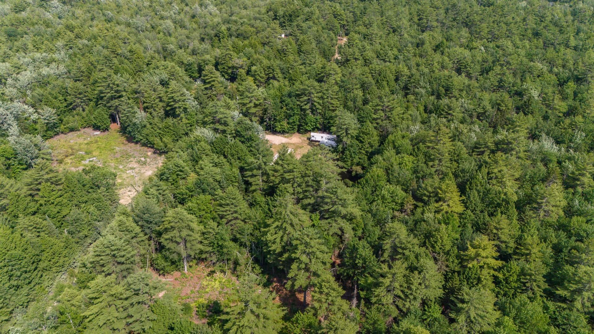 Aerial view of dense green forest with a small cleared area and a white structure near the center