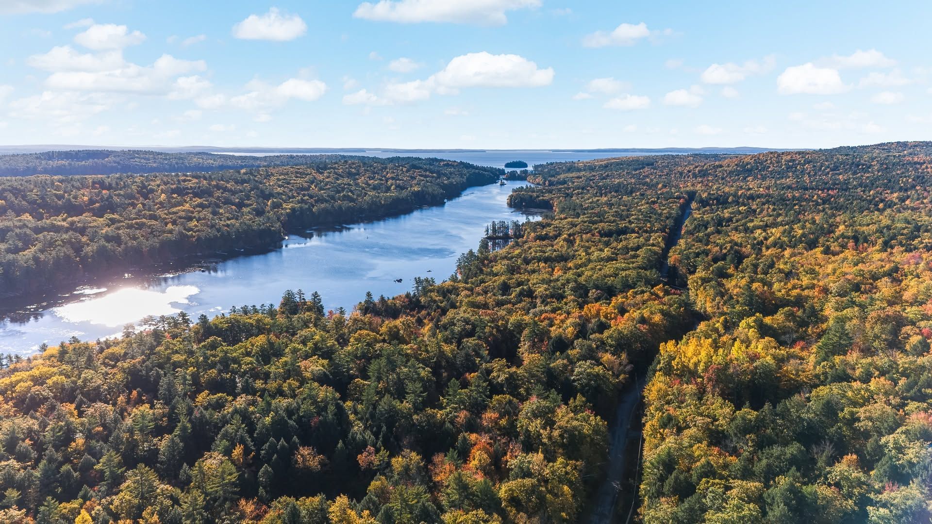 Aerial view of a wide river winding through dense autumn forest under a blue sky