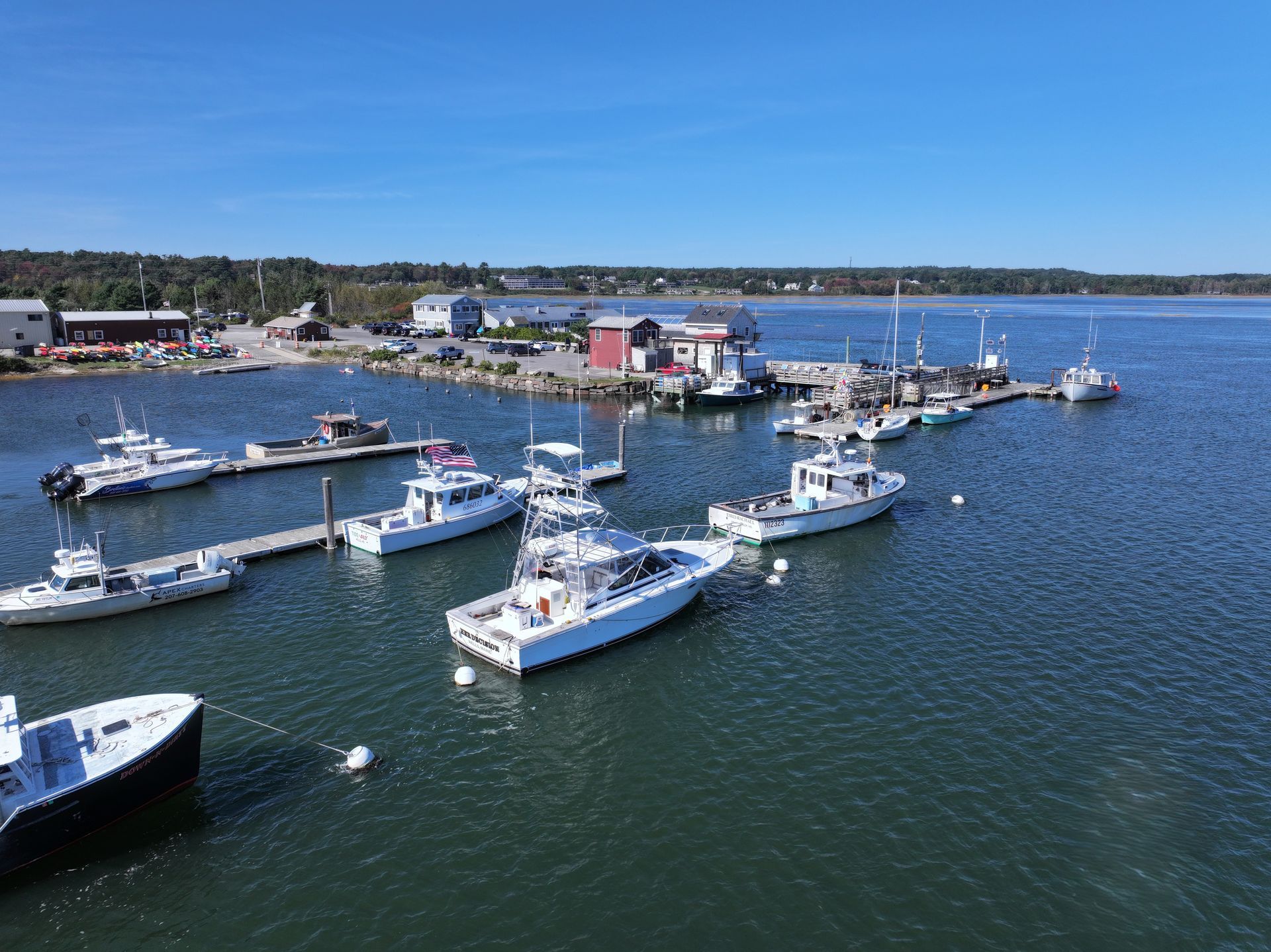 Several boats docked in a harbor with blue water and a distant shoreline under a clear sky.