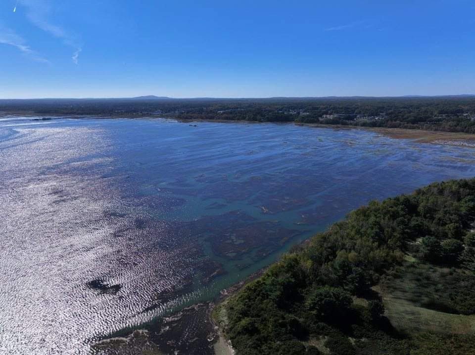 Aerial view of a blue bay with sunlit water, rocky shoreline, and green coastal land.