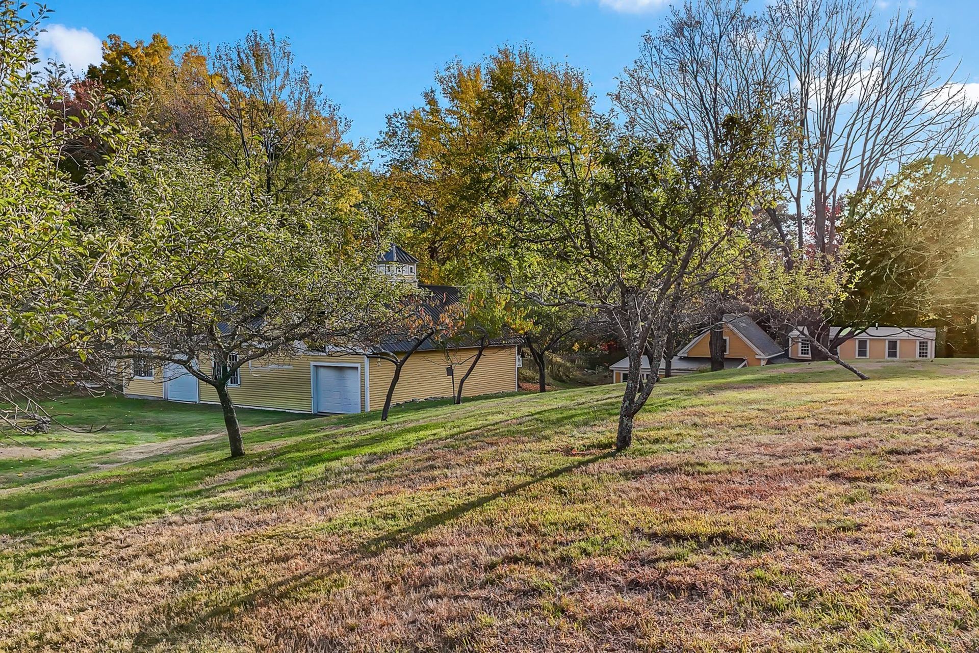 Grassy park with autumn trees, a small shed, and houses in the background under a clear blue sky