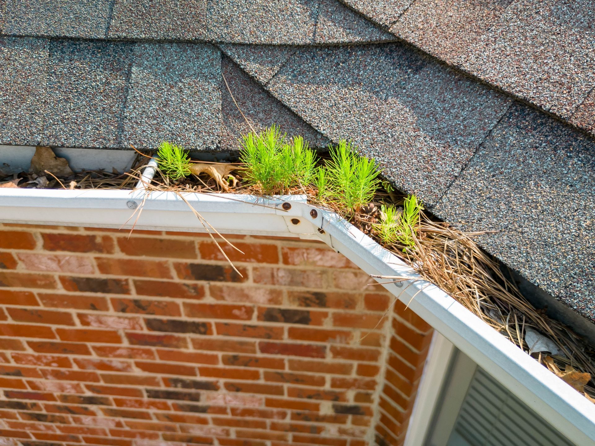Exterior roofing evaluation for gutter cleaning