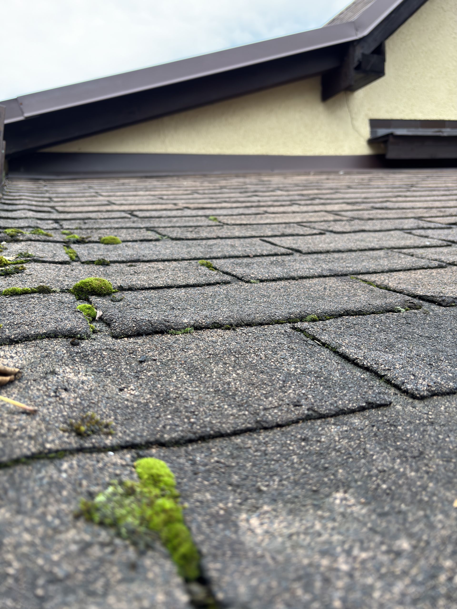 Roof Moss Removal service for homes and businesses in South Jersey