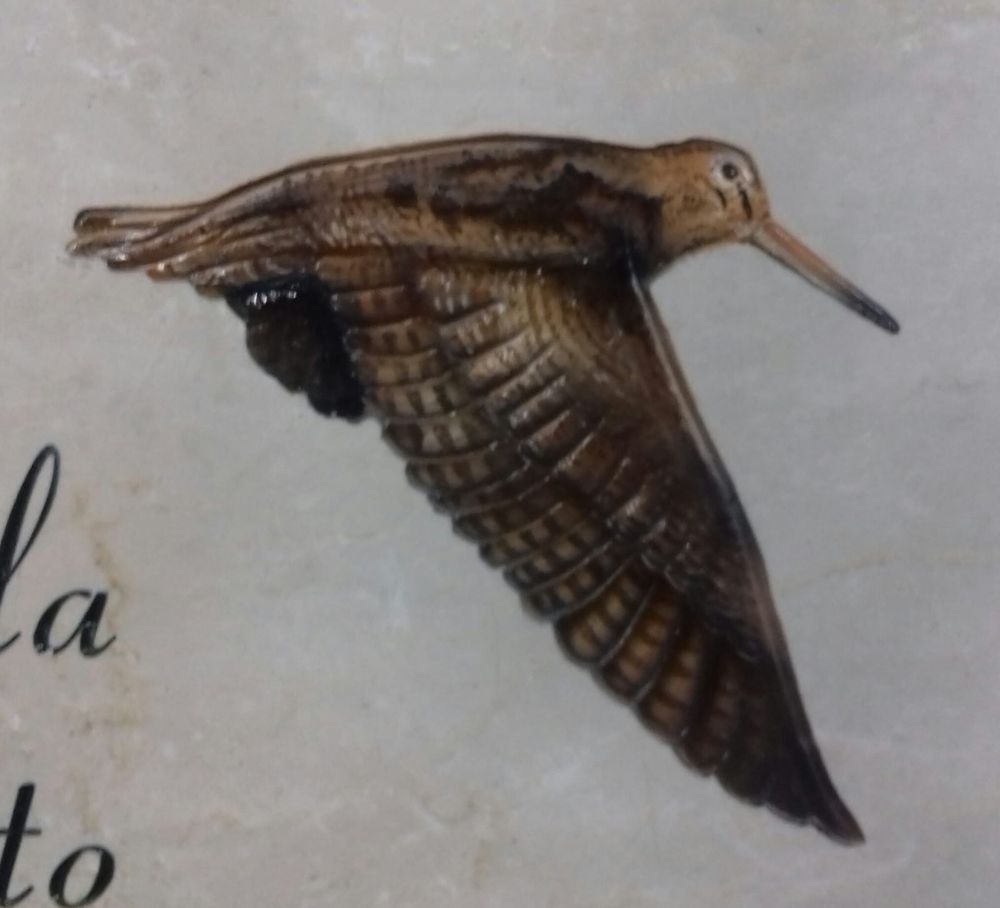 Un dipinto di un uccello che vola con le parole 