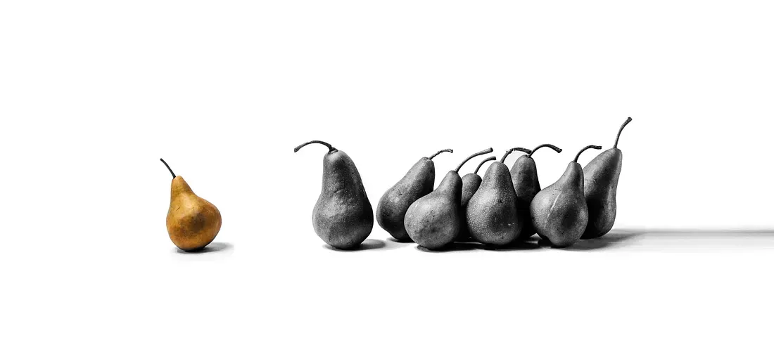 A golden pear stands out from a group of gray pears on a white background.