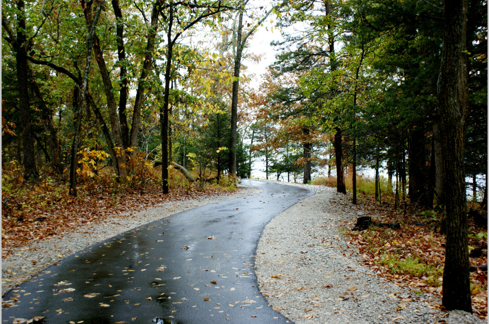 Walking Outside In Nature