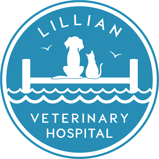 Veterinary Hospital Service for Pensacola, FL