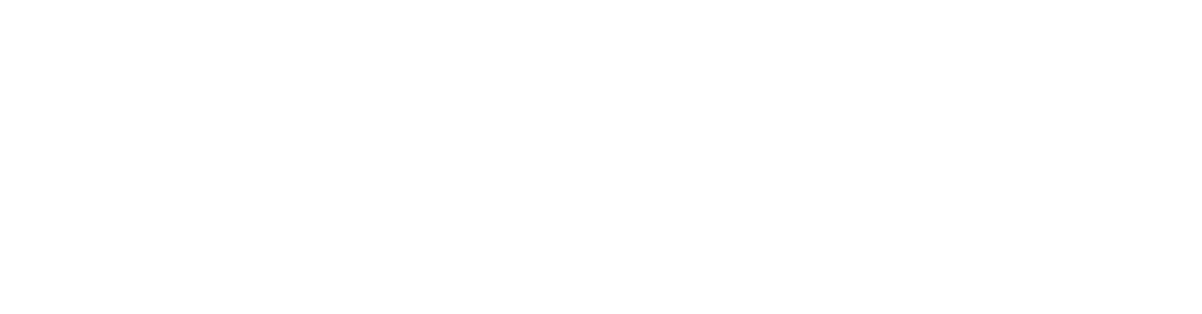 The District at Manhattan Logo