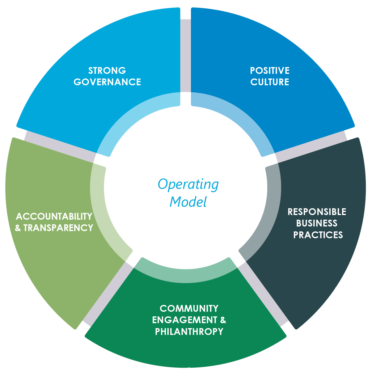 A diagram showing the operating model of American Landmark.