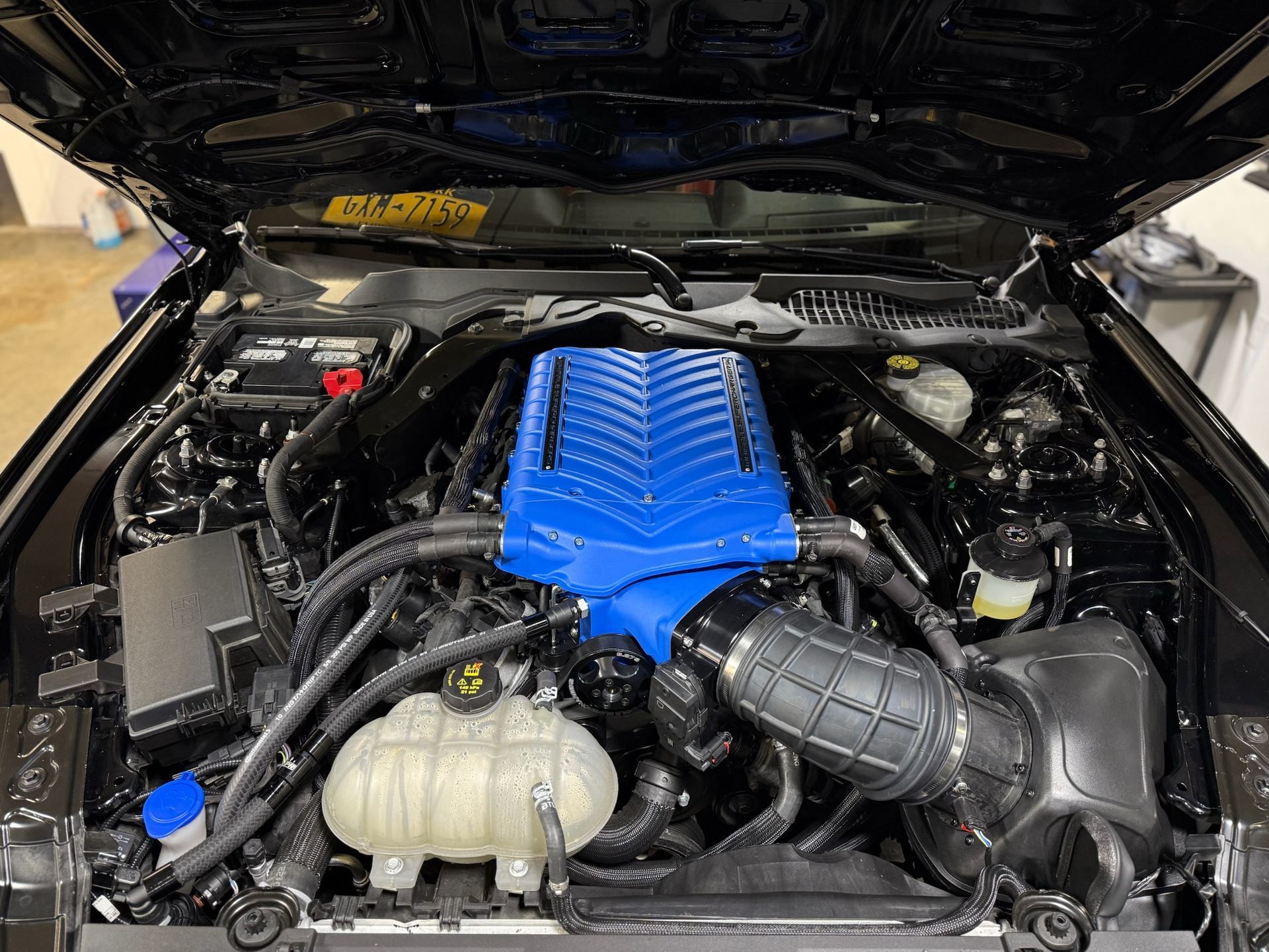 Car engine bay with a bright blue supercharger cover centered among black hoses and components.