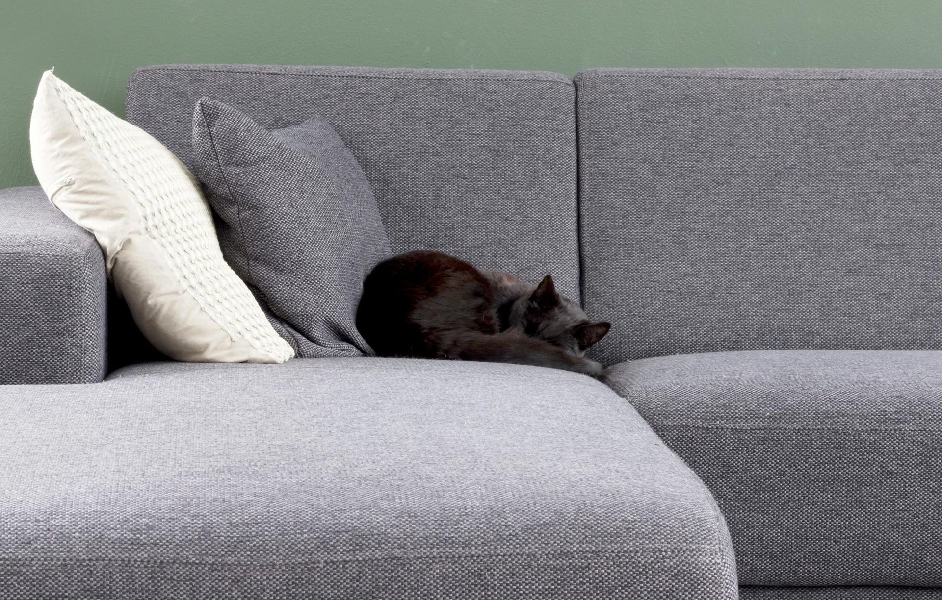 a cat laying on top of a gray couch