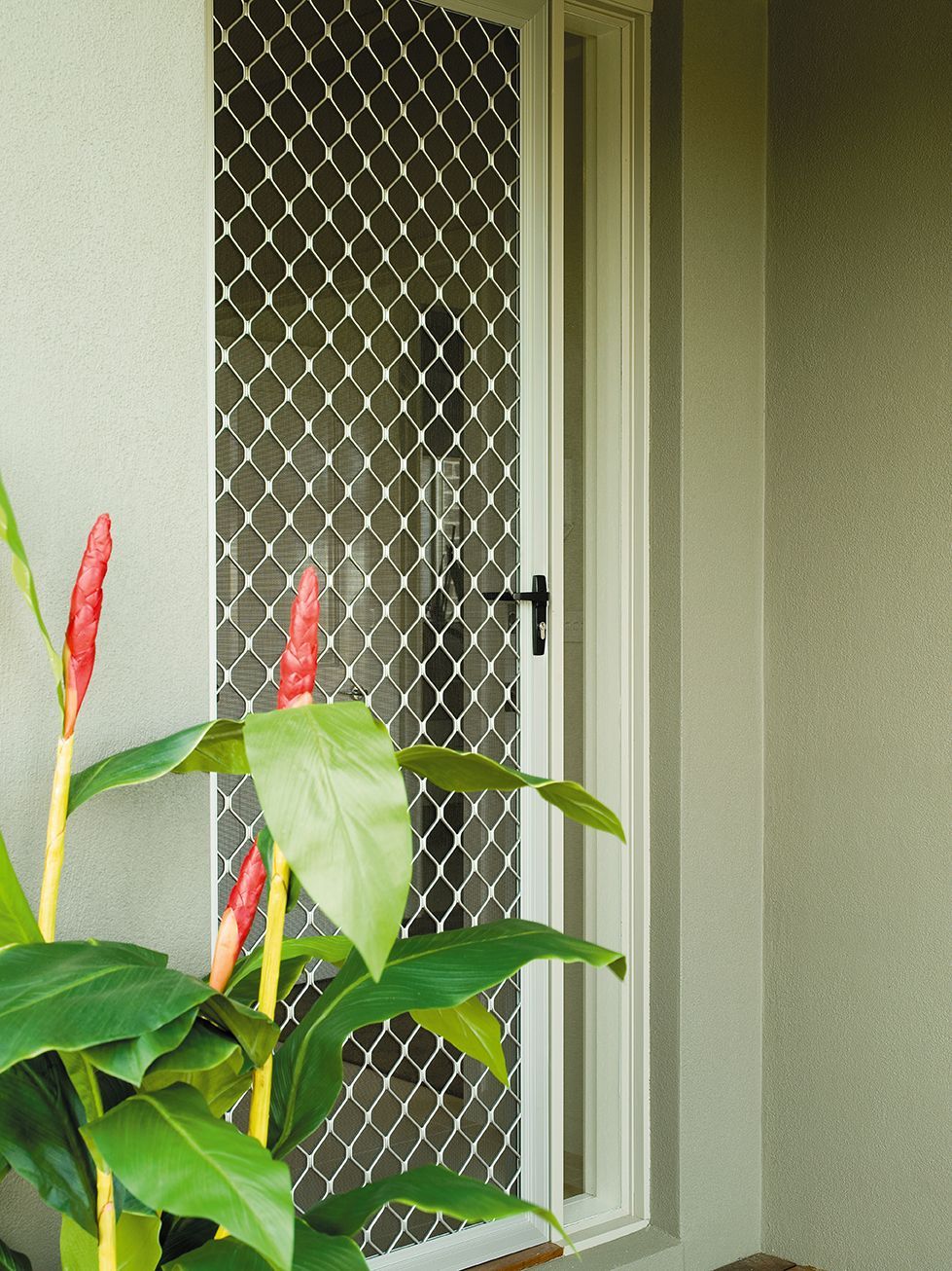 A white security screen door with a diamond-patterned grille — Budget Screens & Awnings in South Lismore, NSW