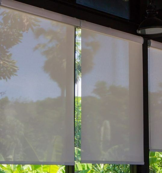 Windows with sunscreens blinds